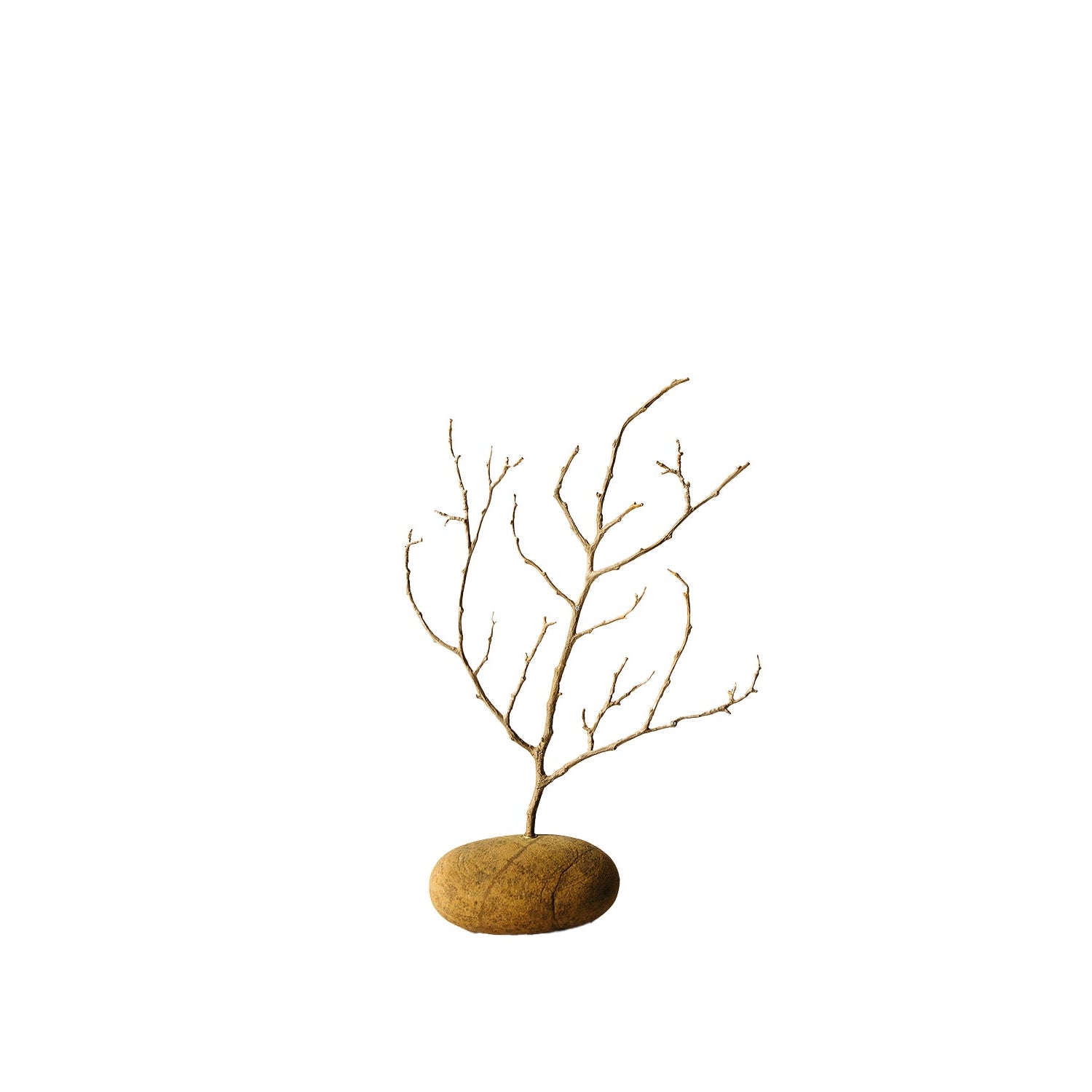 CVC Stones Branches – CVCSTONES