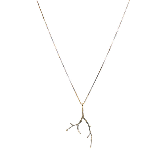 Branch-Oro-II